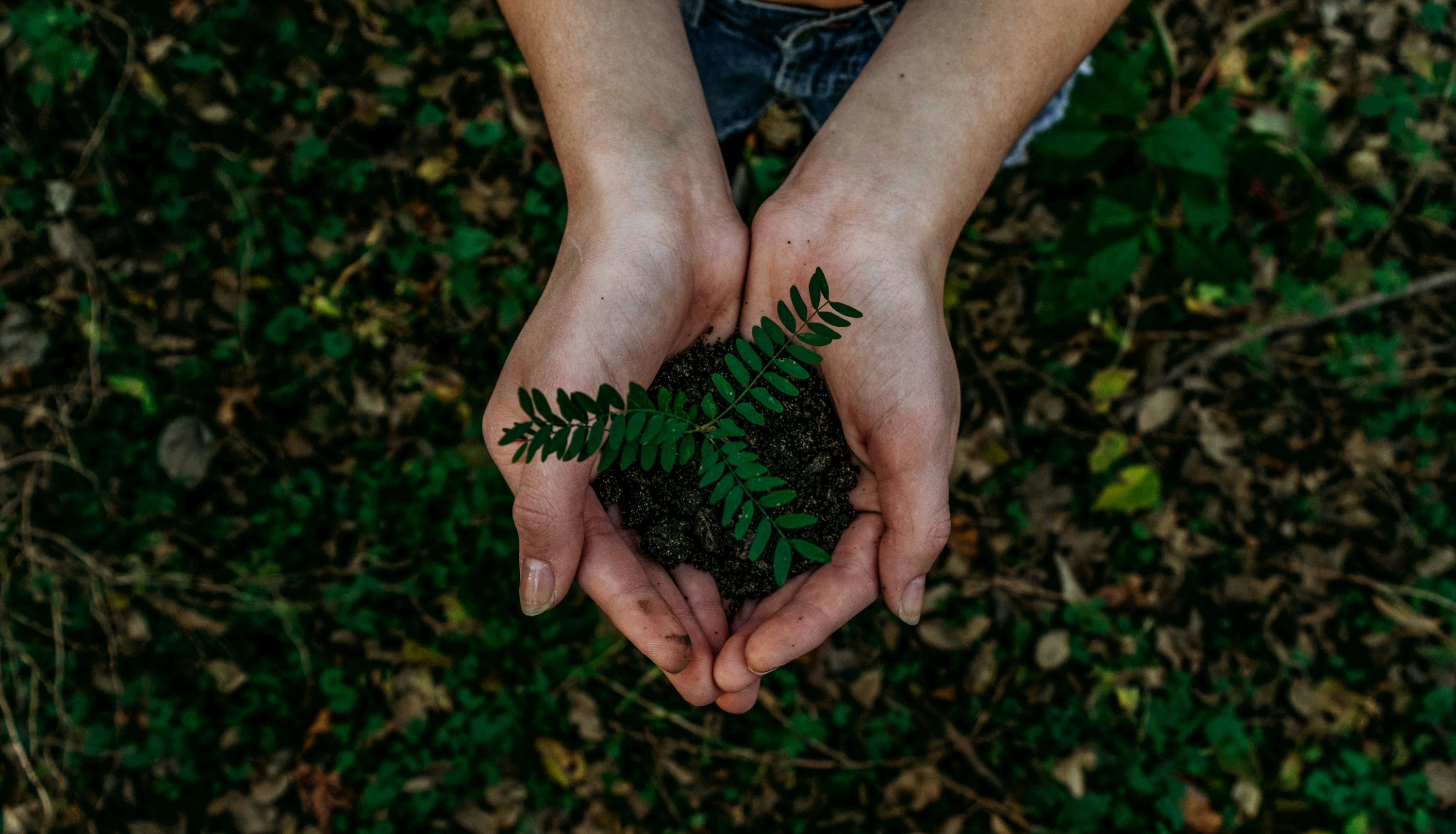 Environmental & HSE Services